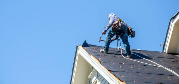 Best Roof Maintenance Services  in Morrilton, AR